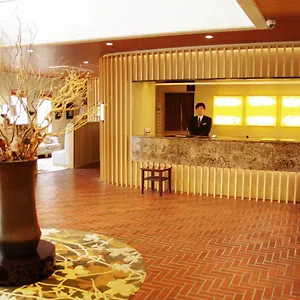 Hakone Lake Hotel Japan